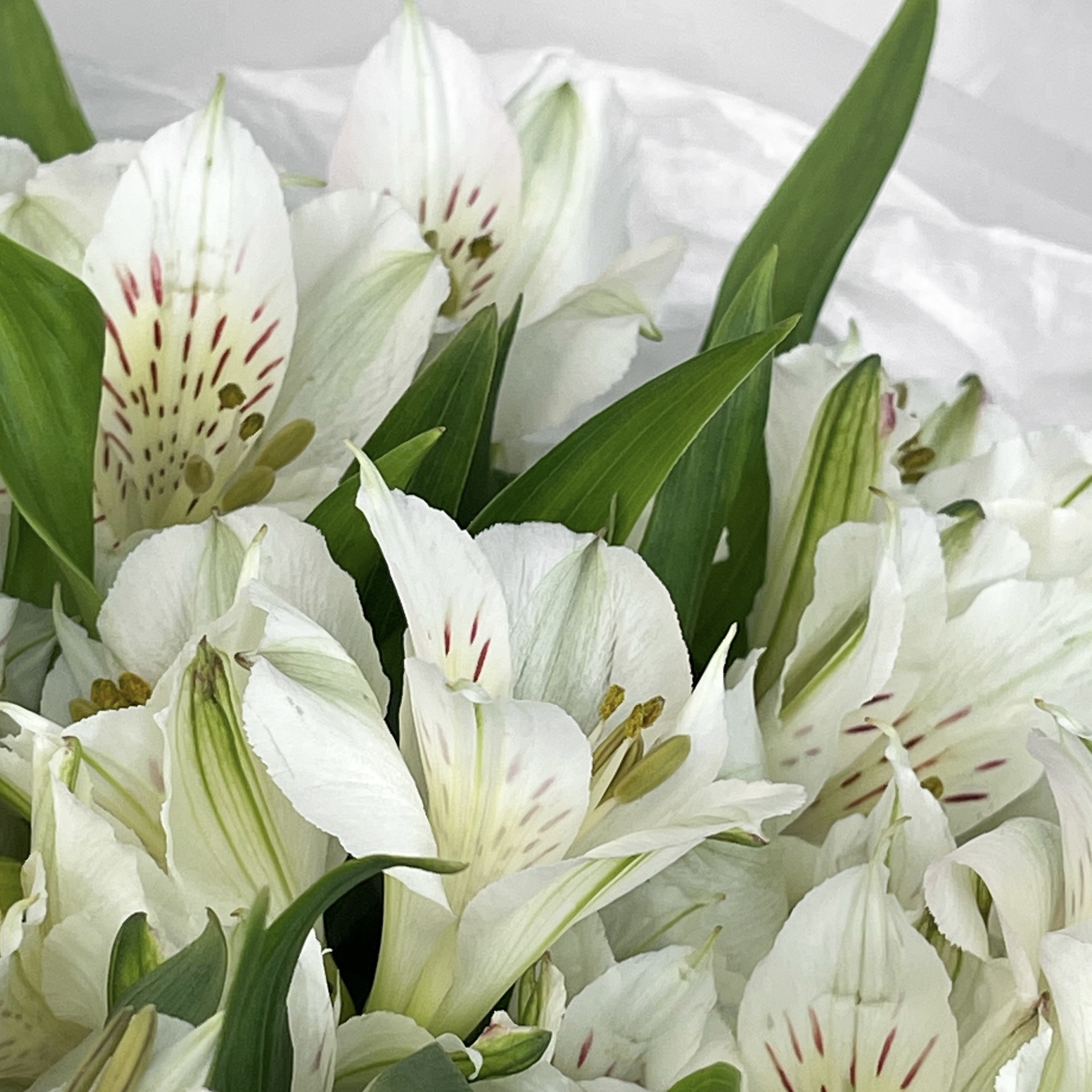 Букет Лолита