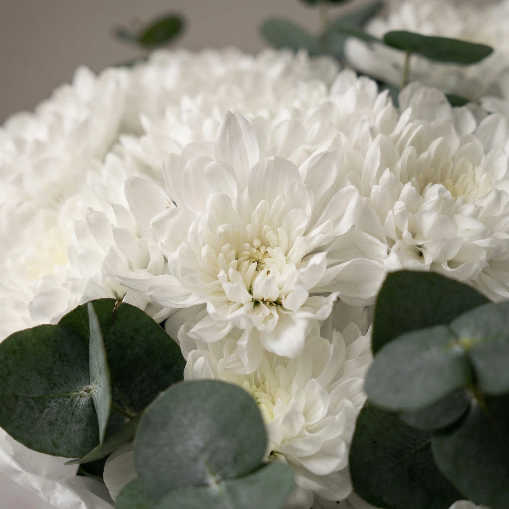 Букет Лунный свет