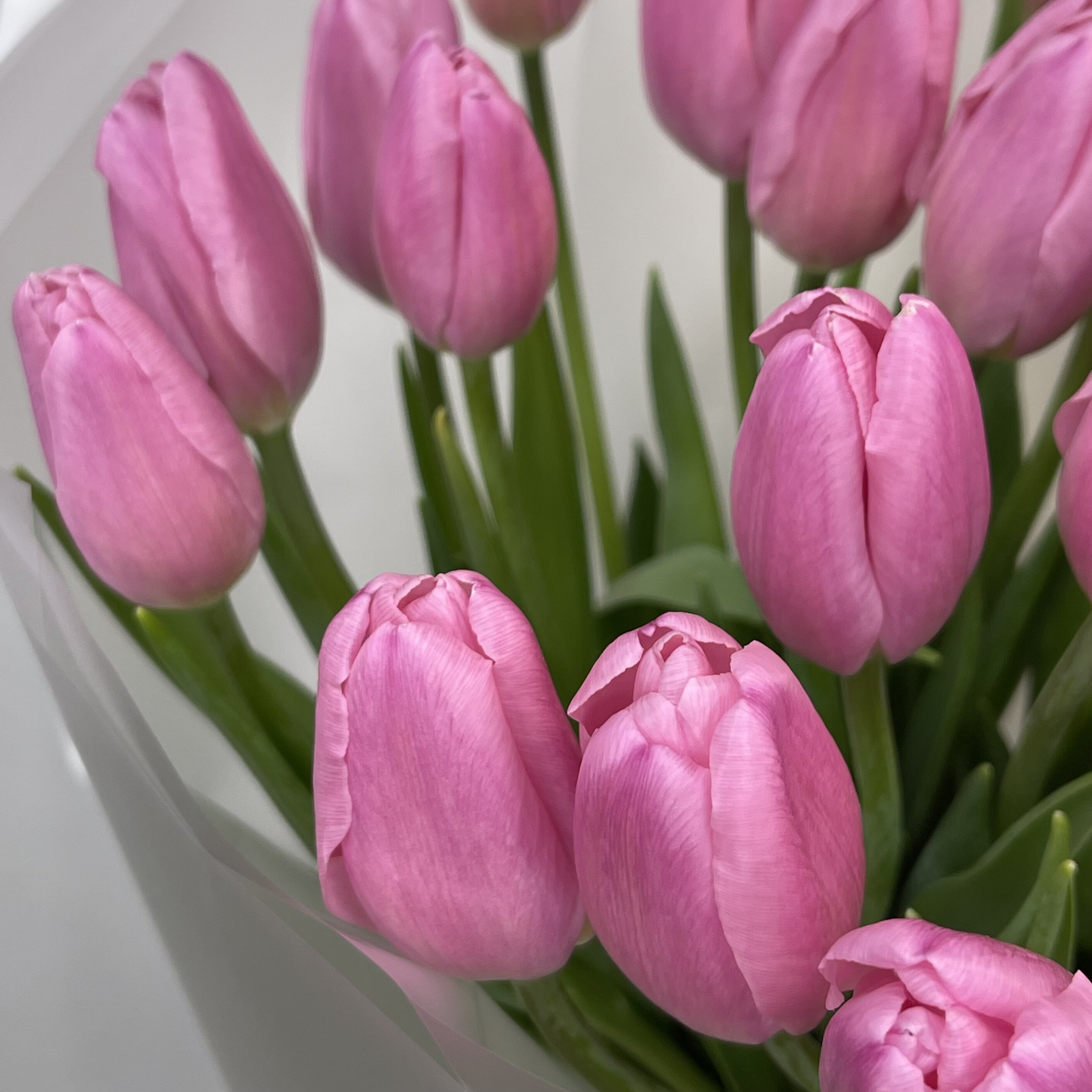 Букет Монобукет из розовых тюльпанов №1