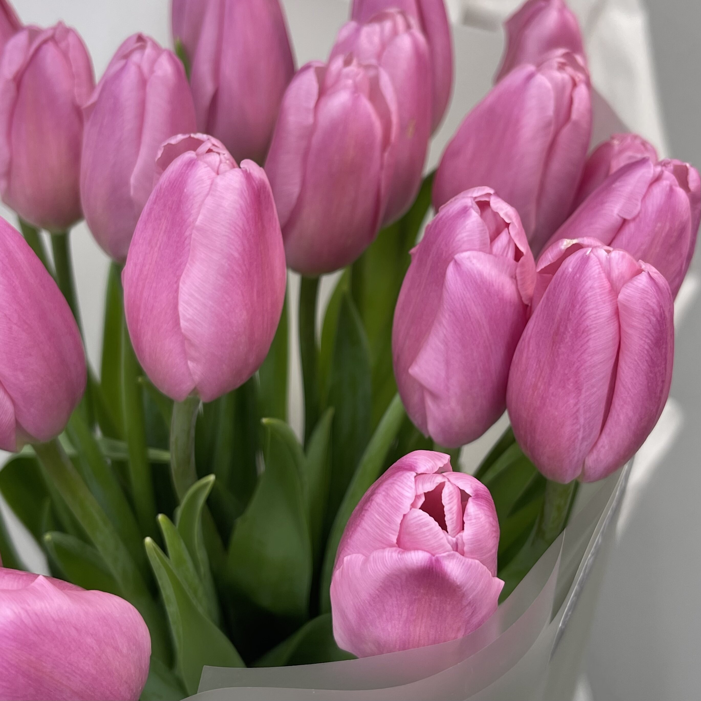 Букет Монобукет из розовых тюльпанов №1
