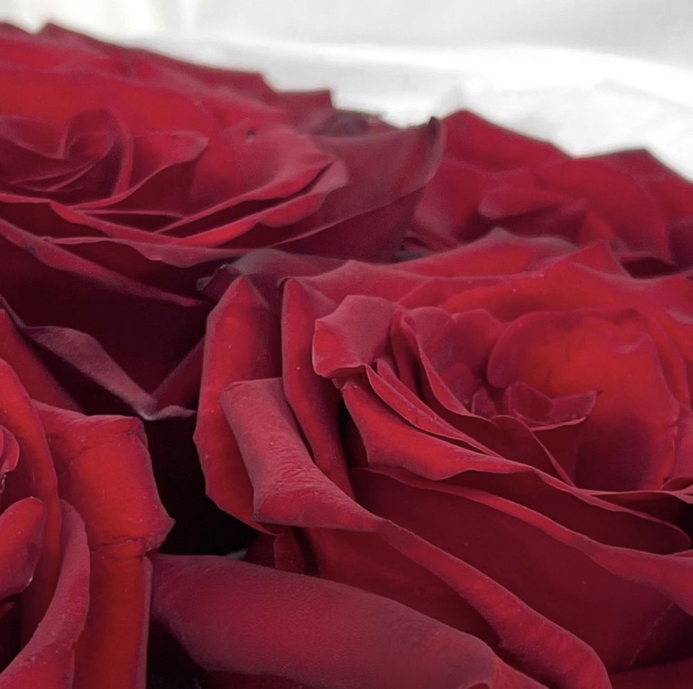 Букет Классика чувств