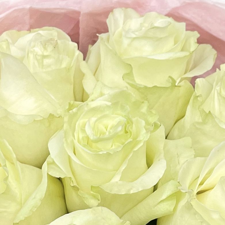 Букет Монобукет из 11 белых роз №3