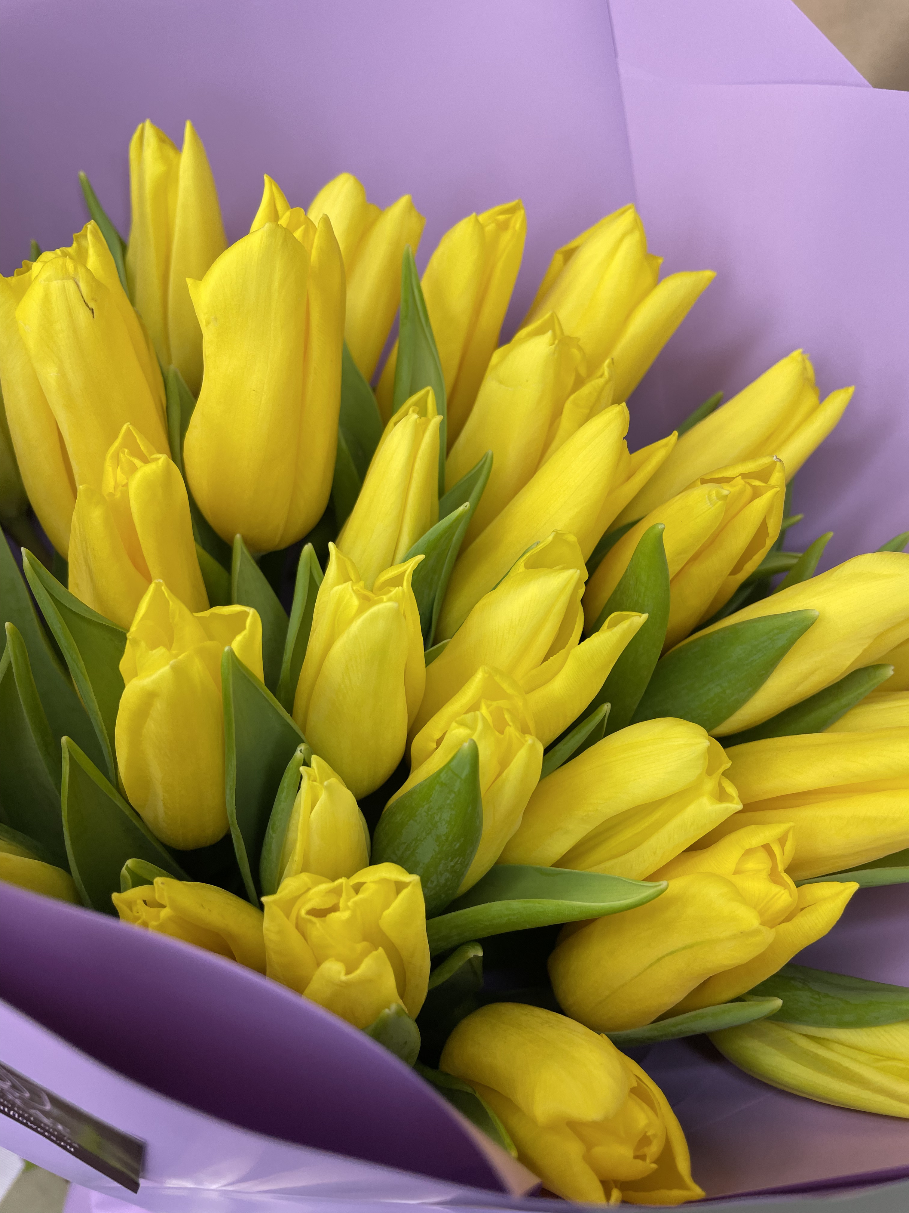 Букет Монобукет из желтых тюльпанов М