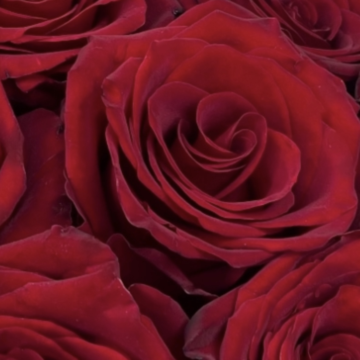 Букет Комбо-набор клубника и цветы "Любовь на максимум"