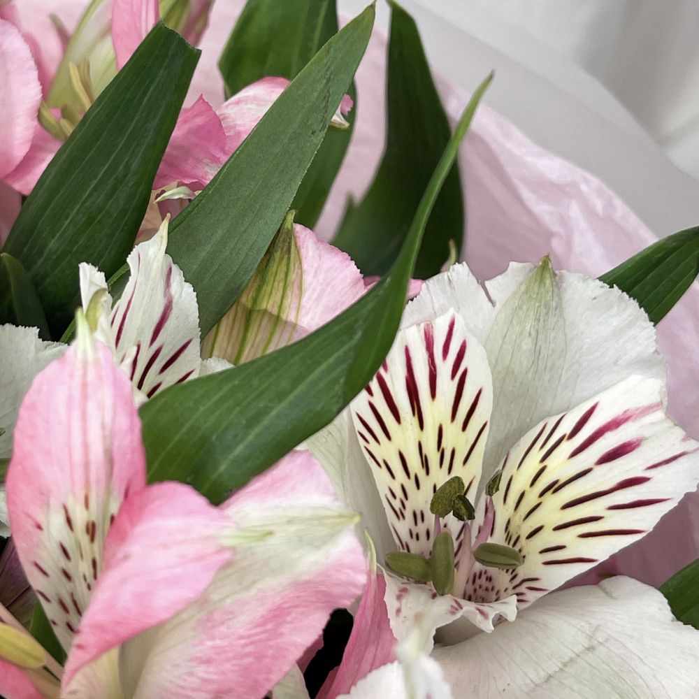 Букет Вестник лета