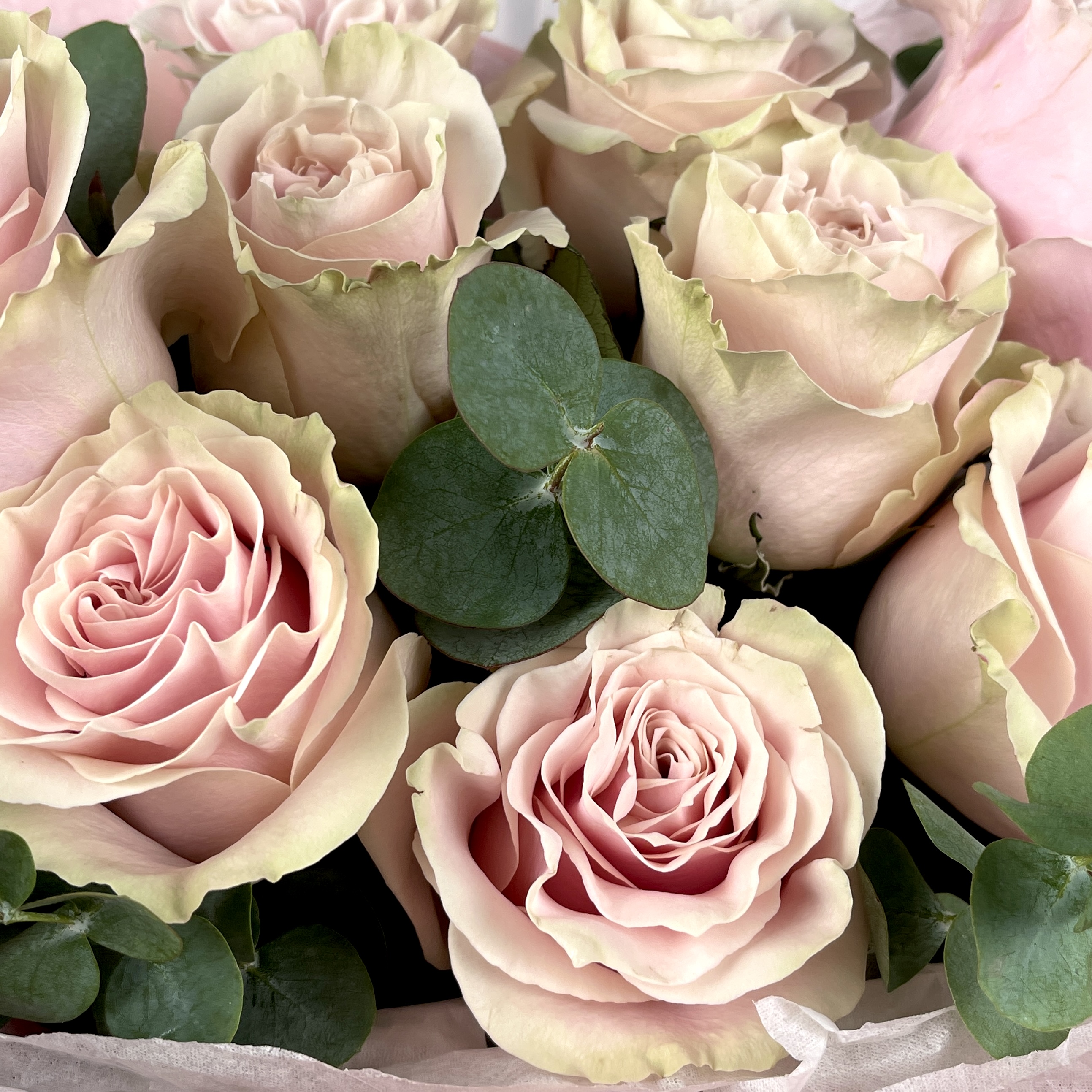 Букет Монобукет из розовых роз №2