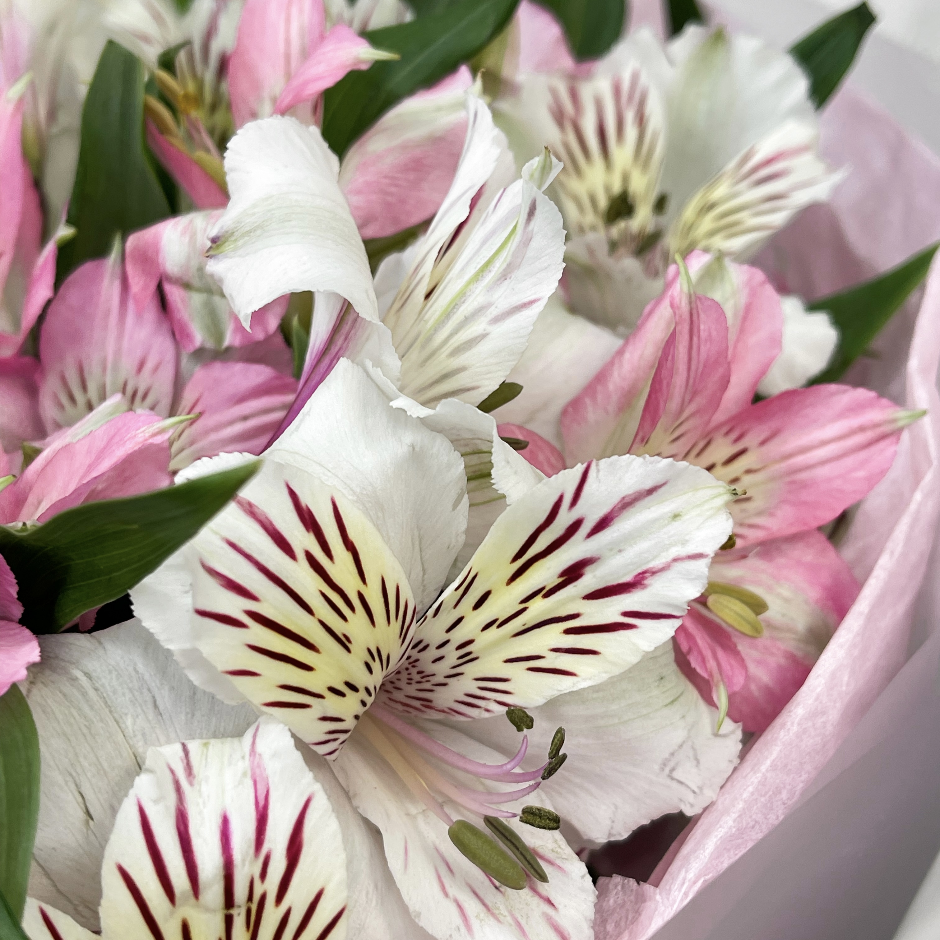 Букет Вестник лета