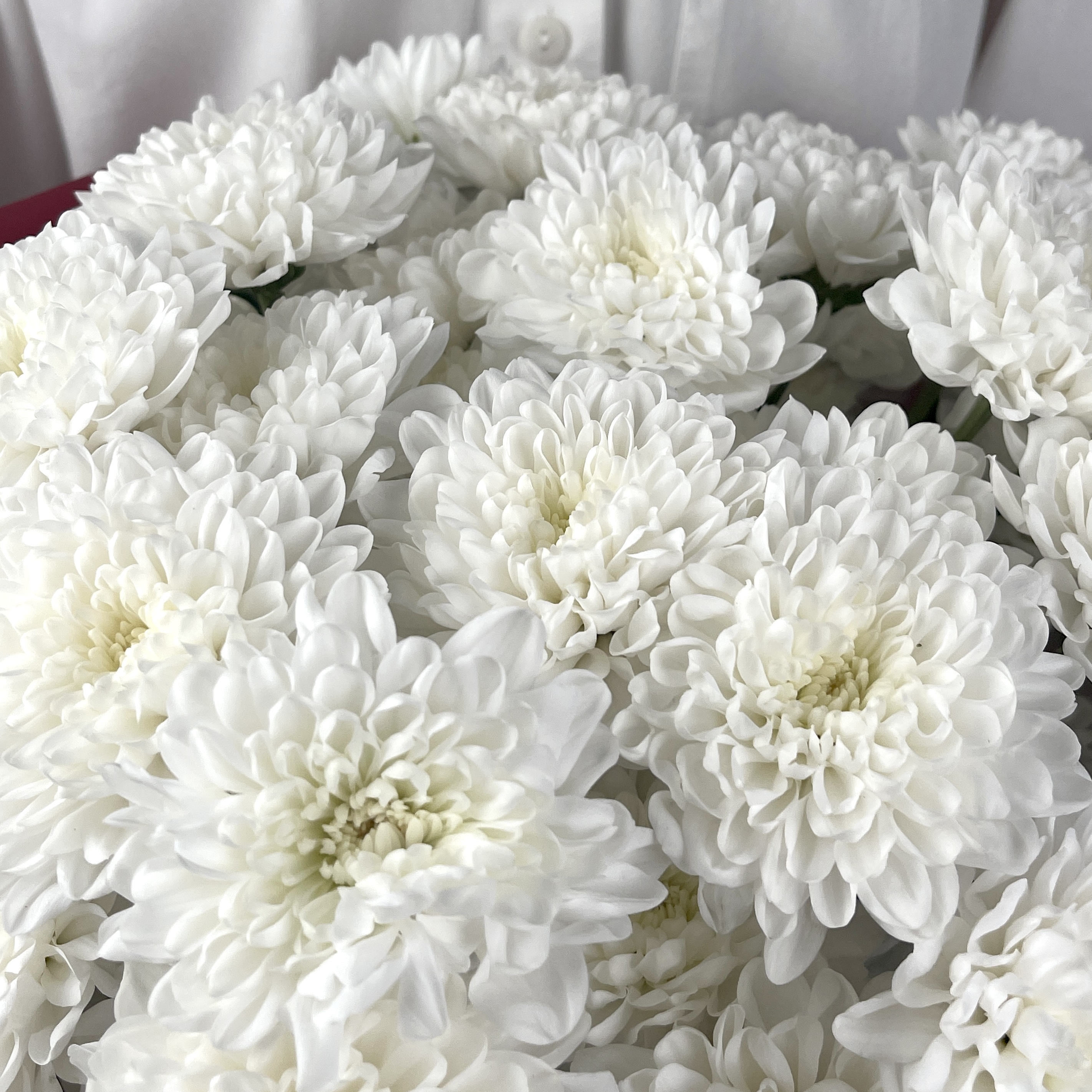 Букет Белое кружево