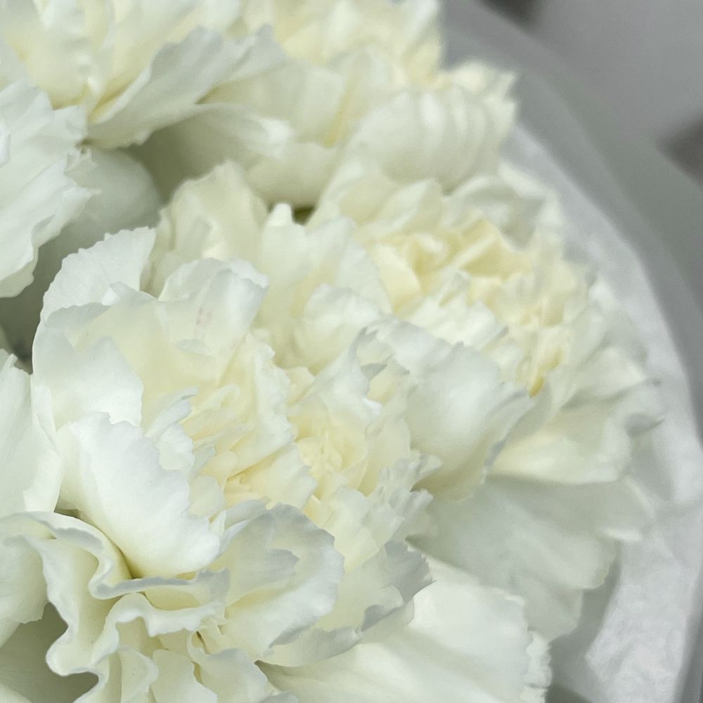 Букет Нежные диантусы