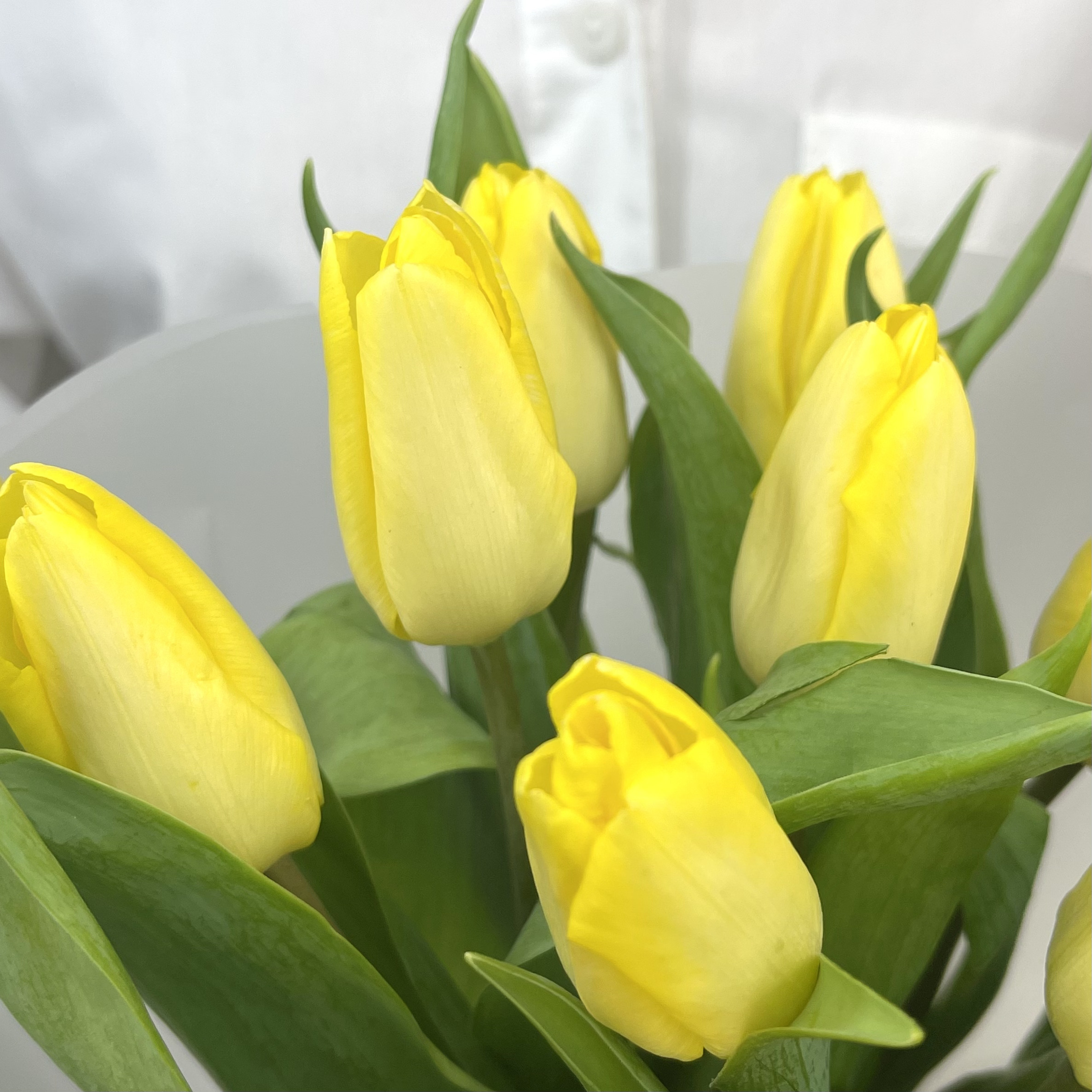 Букет Монобукет из желтых тюльпанов №1