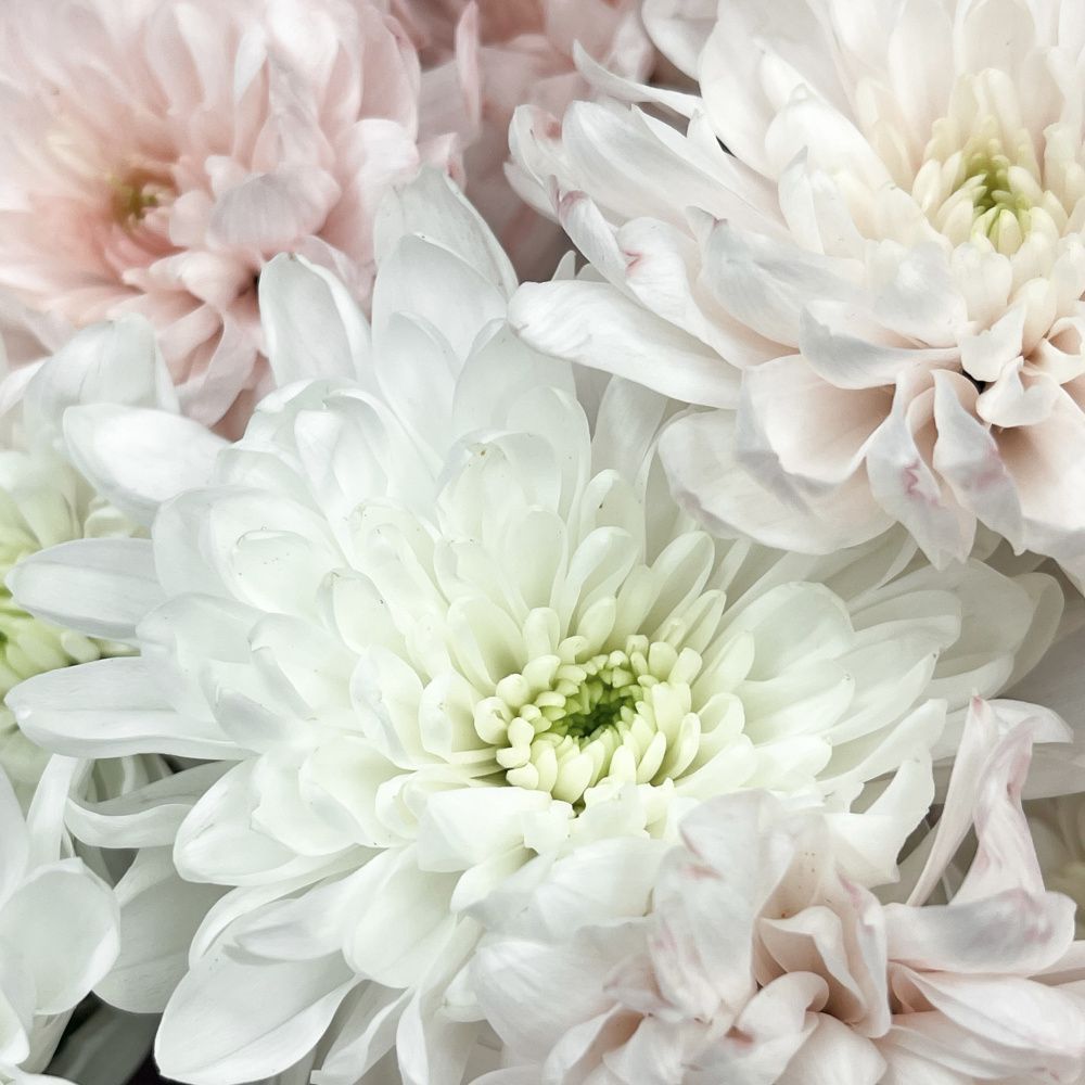 Букет Пудровый сад