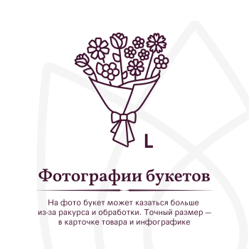 Букет Букет из 51 белой розы под ленту